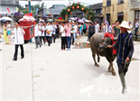 福鼎市硖门畲族乡瑞云村葫芦墩举行畲族“牛歇节”(图)