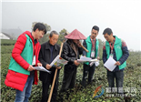 中国茗村——柏柳村：多措并举抓茶叶质量安全建设 促进茶产业质量提升