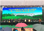 创新高！福鼎白茶以44.96亿元荣获“2019中国茶叶区域公用品牌价值十强”第四位