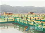 海上养殖综合整治 海域环境持续改善
