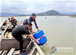 点头：放航道浮标 保障船只安全航行