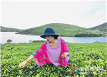 茶界泰斗张天福遗孀张小红女士走访参观“张天福有机茶基地”