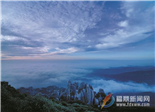 太姥山问茶