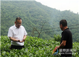 科技特派员茶园现场“传经送宝”