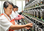 福鼎华益公司自主创新产品畅销全国