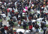 福鼎点头：春茶已进入采摘高峰期 茶青日上市交易达200余吨