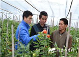 福鼎：春季农业生产千名科技示范户“唱主角”