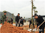 植树节期间全市各乡镇共约种植10多万株树苗